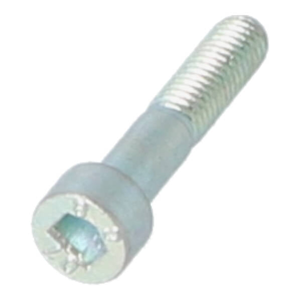 Kickstarterdeckel Piaggio Original Verriegelungsbolzen m6x30mm Primavera, Sprint, Zip 1a011419