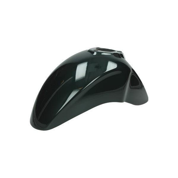 Kotflügel vorne Piaggio Original Grün bosco 349/a Primavera touring 1b006643000vy