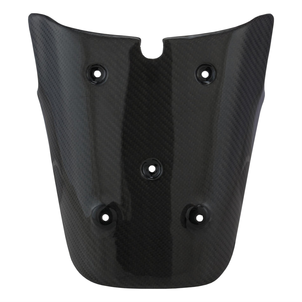 Nummernschildhalter hinten Carbon für Vespa GTS