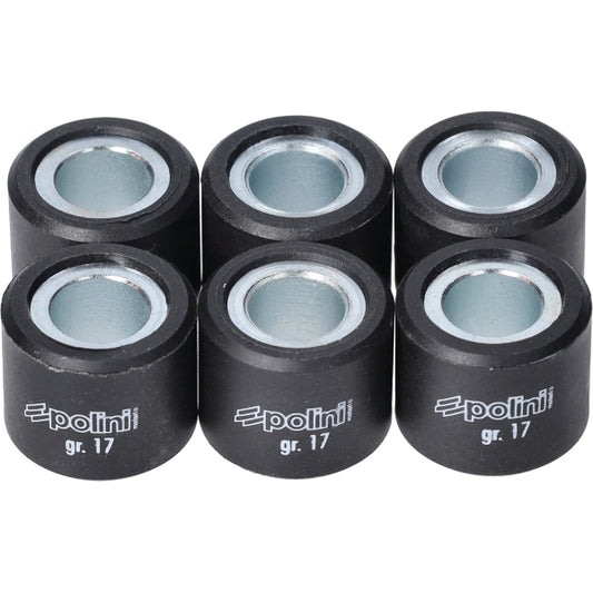Variomatikgewichte Polini 17.0 g 20x17mm GTS 300, MP3-300cc, Runner 180cc, Runner 200cc 242.356