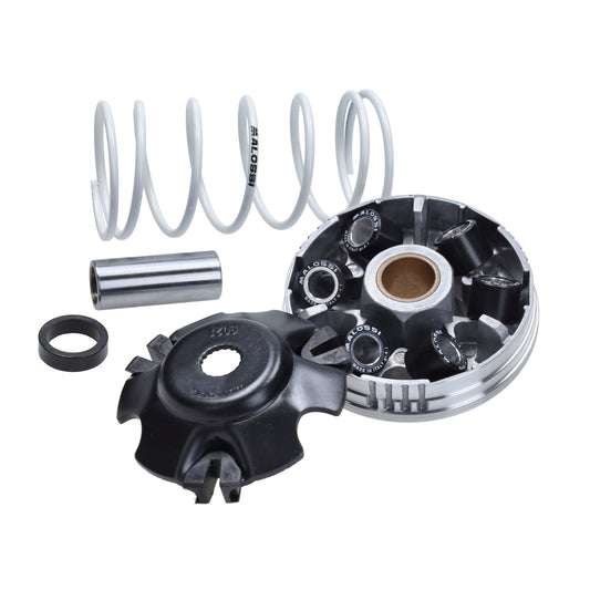 Variomatik malossi schnell euro-2/4/5 Zip, Sprint, Primavera, Piaggio-Roller 4t-3v I-get, Piaggio-Roller 4t-2v, LX 4t-4v…