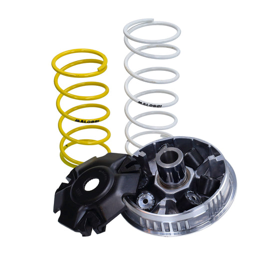 Variomatik malossi Euro 3/4/5 Liberty 125cc, Primavera 125 4t, Sprint 125 4t 5116674